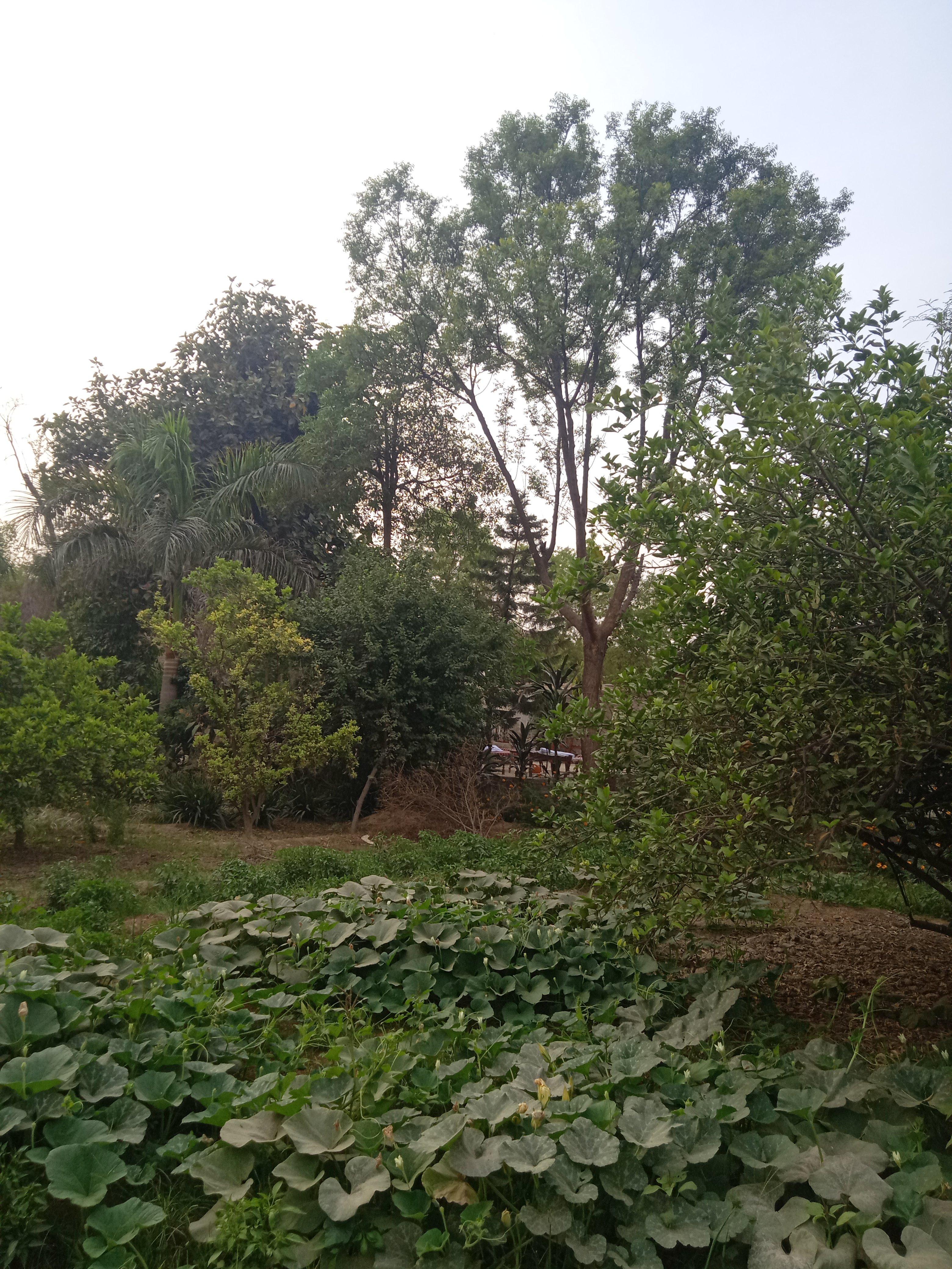 IMG20210430170705.jpg