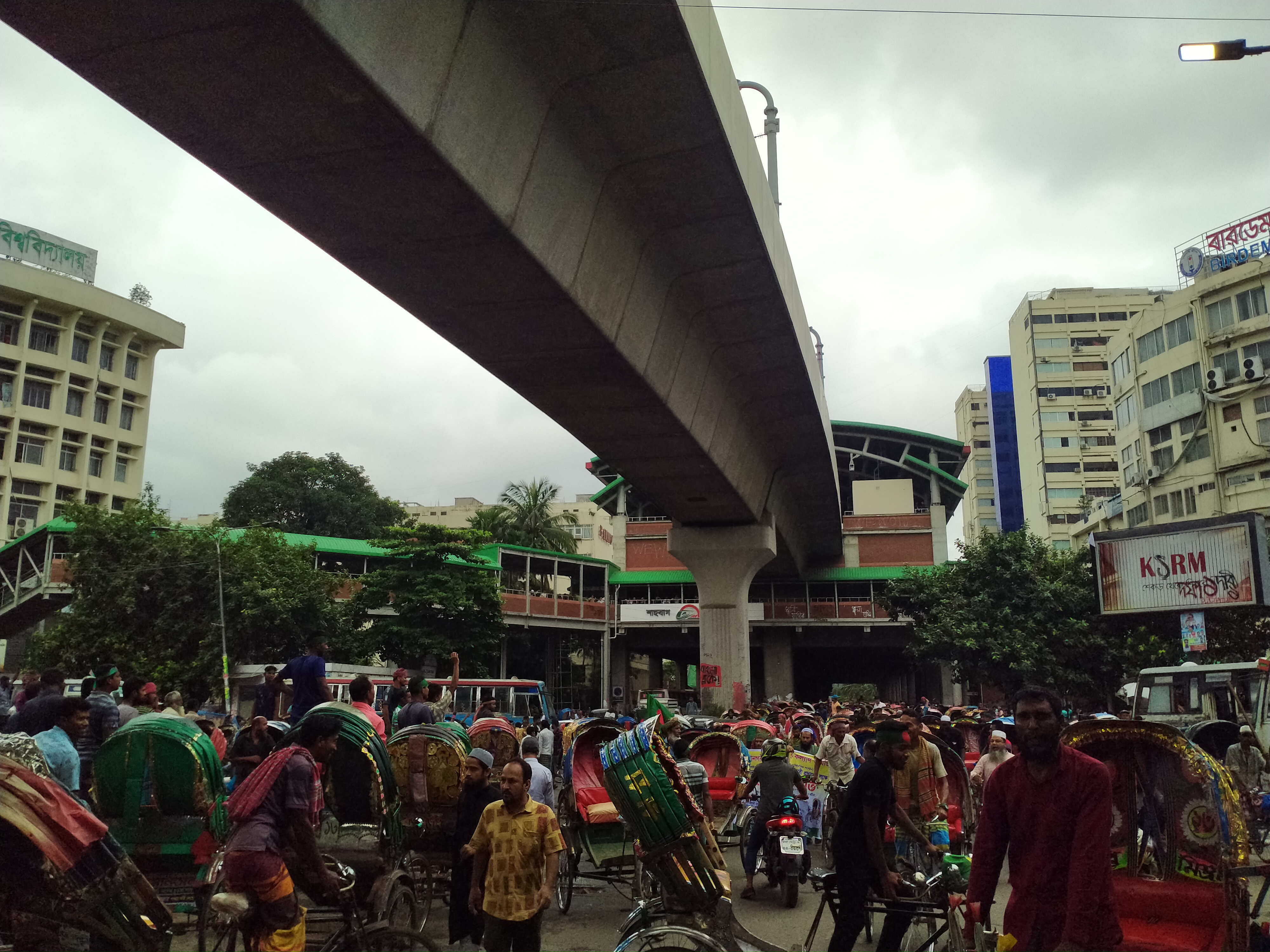 IMG20240826101830.jpg