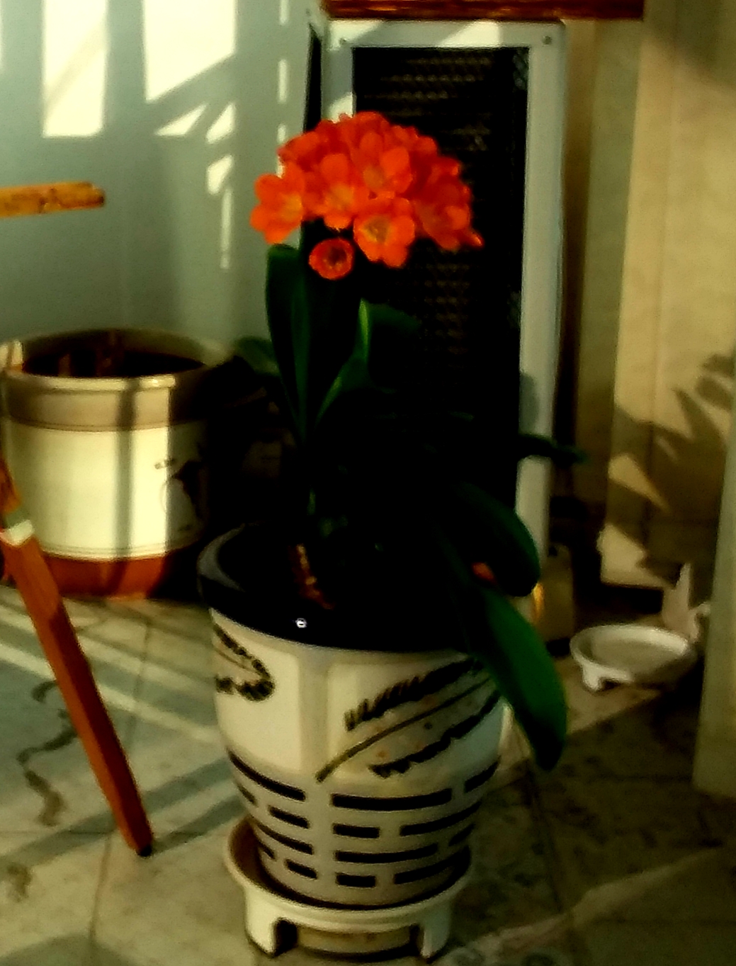 20200324_164323.jpg