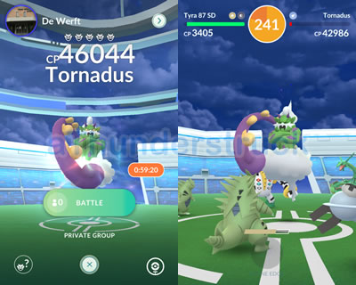 Tornadus Raid.jpg