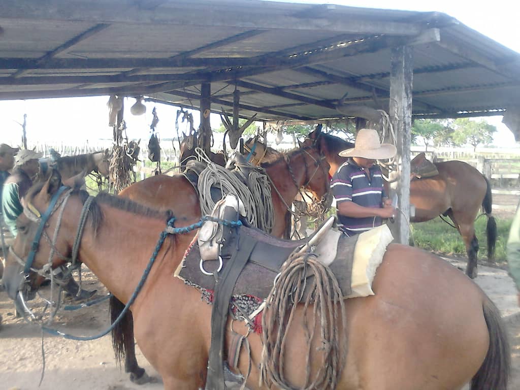 IMG-20210609-WA0009.jpg
