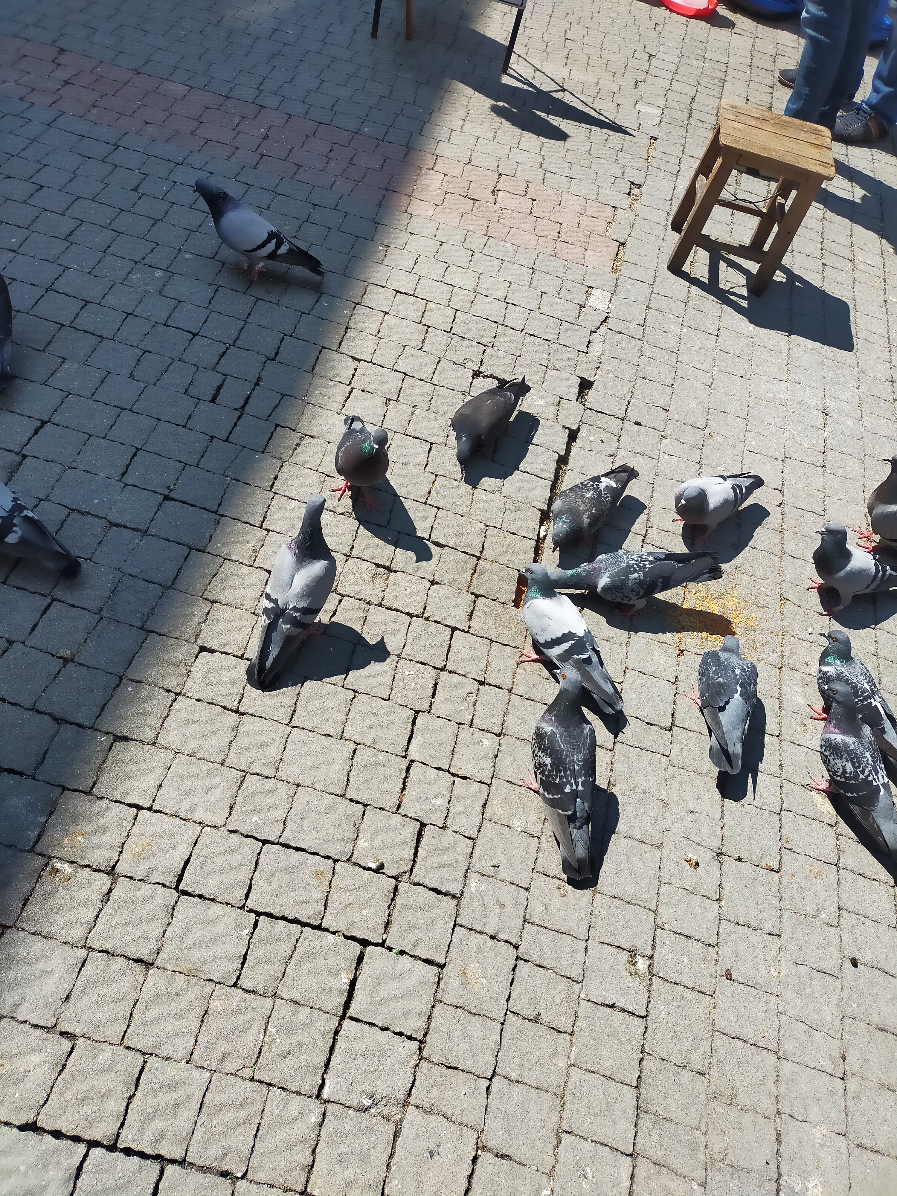 IMG20220420135537.jpg