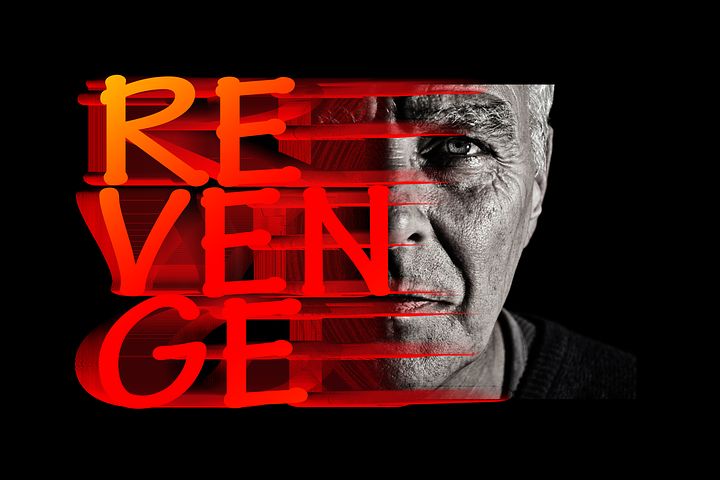 revenge-2256054__480.jpg