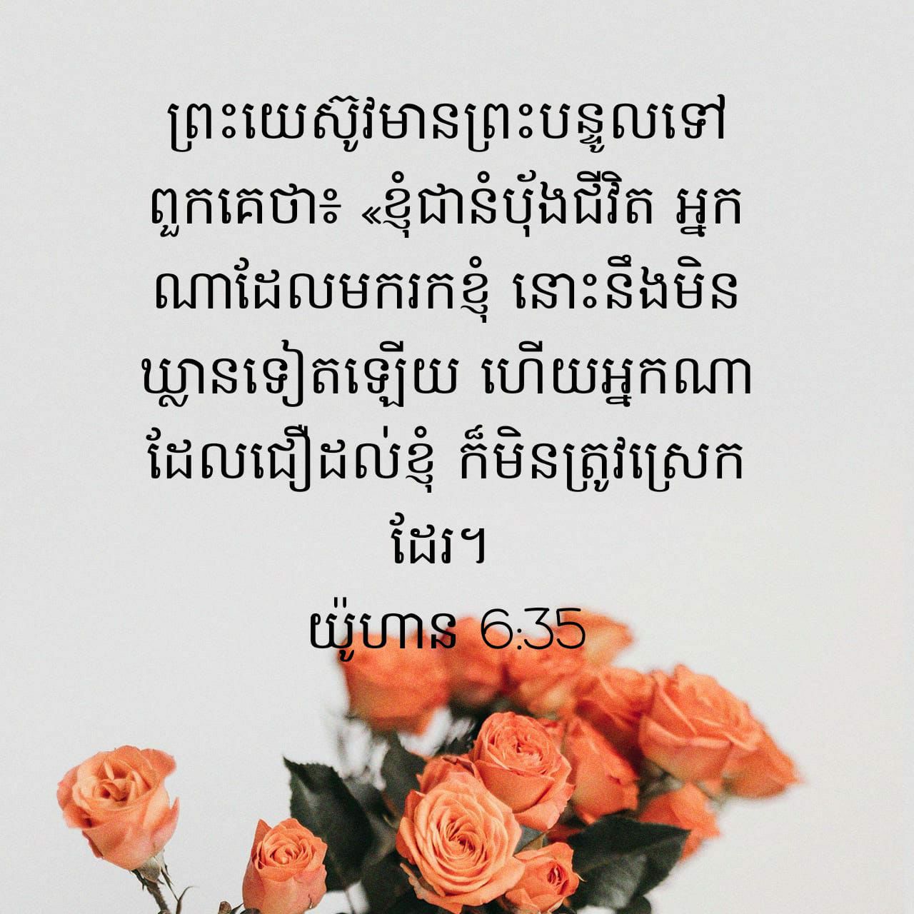 97BCD7F1-8559-4544-8C02-5289BB8689CF.jpeg