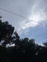 1626895897139.jpg
