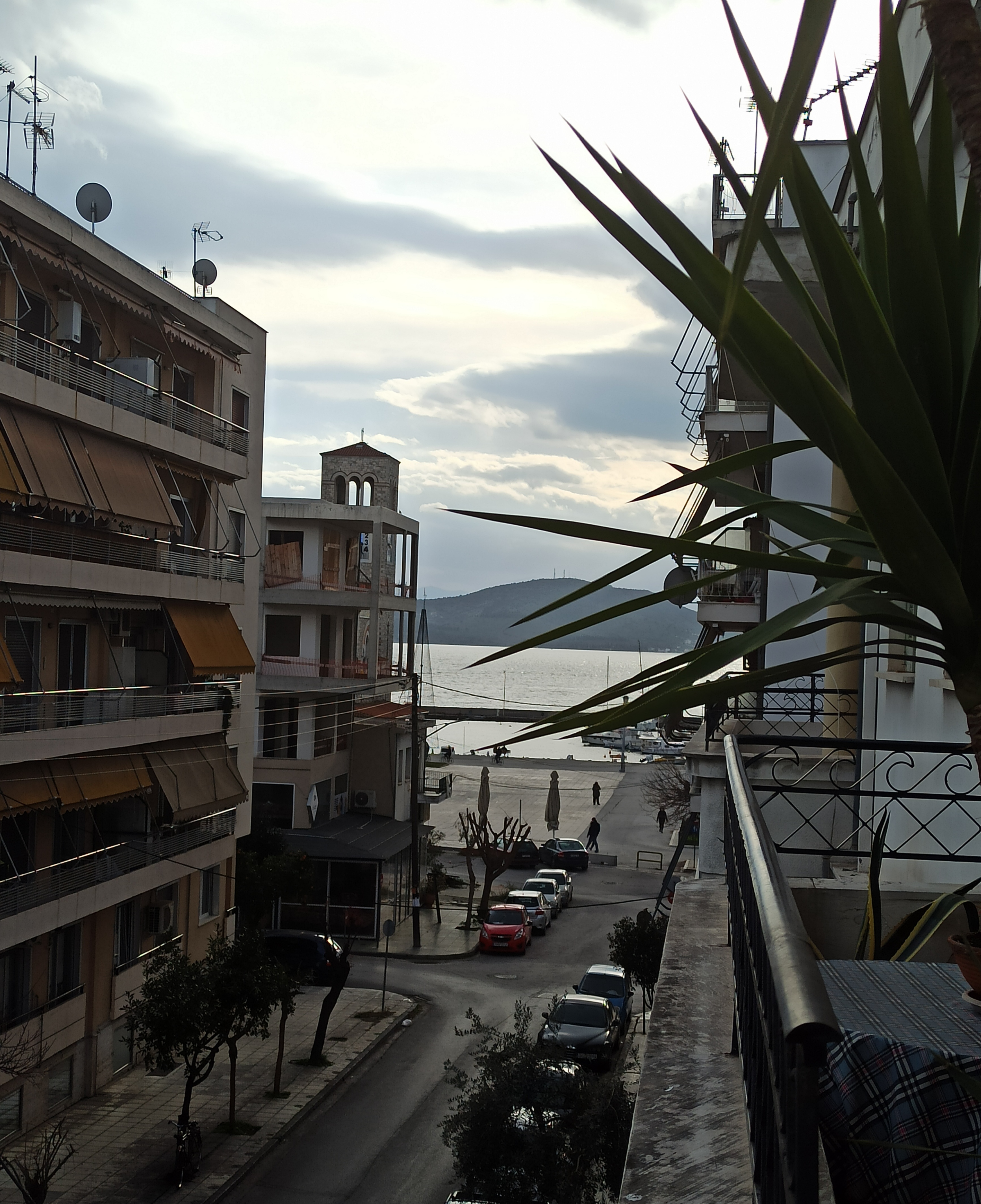 IMG_20210124_152326.jpg