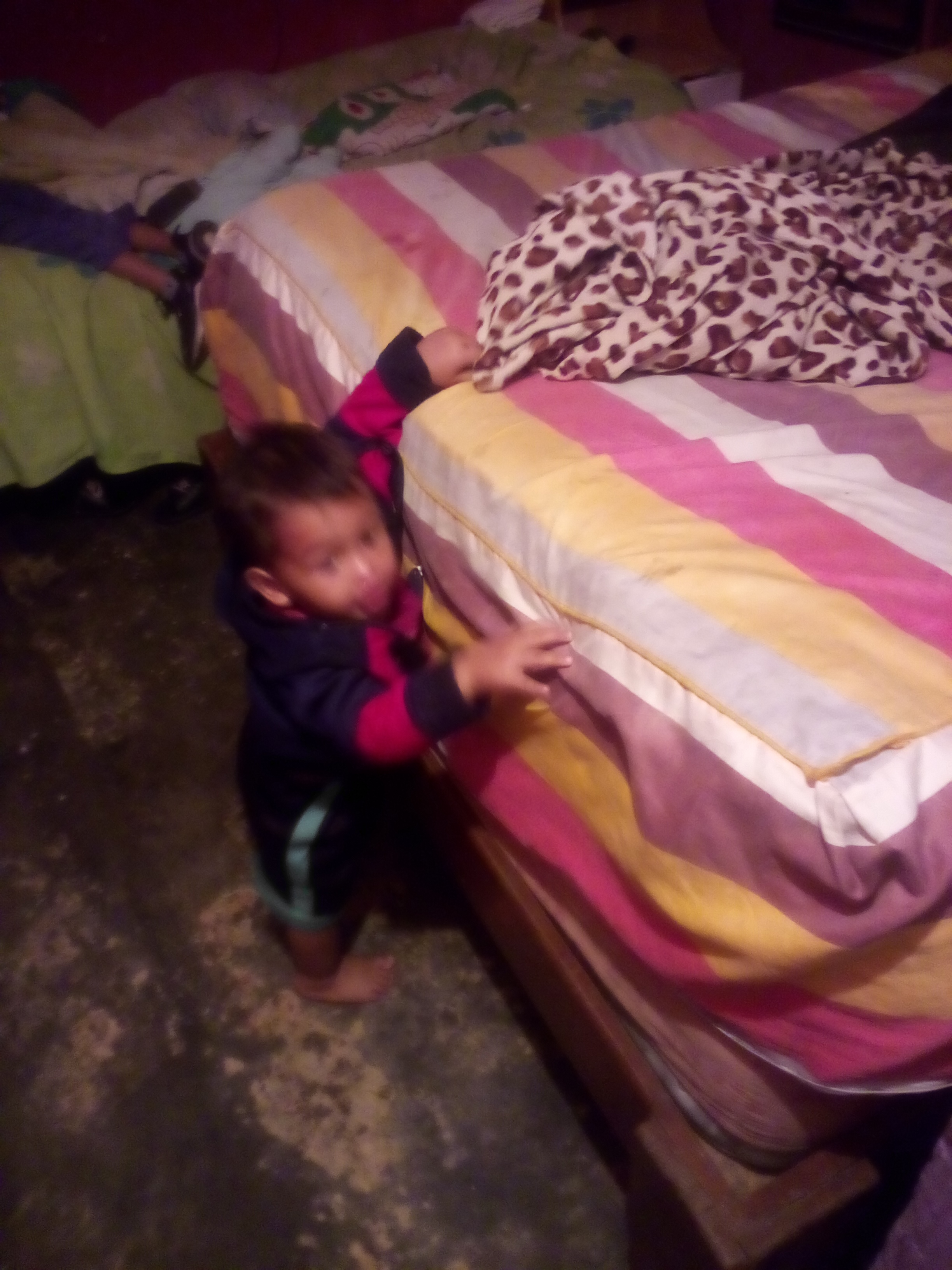 IMG_20210719_165648_019.jpg
