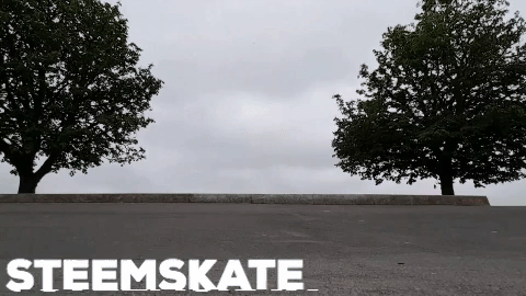 3.gif