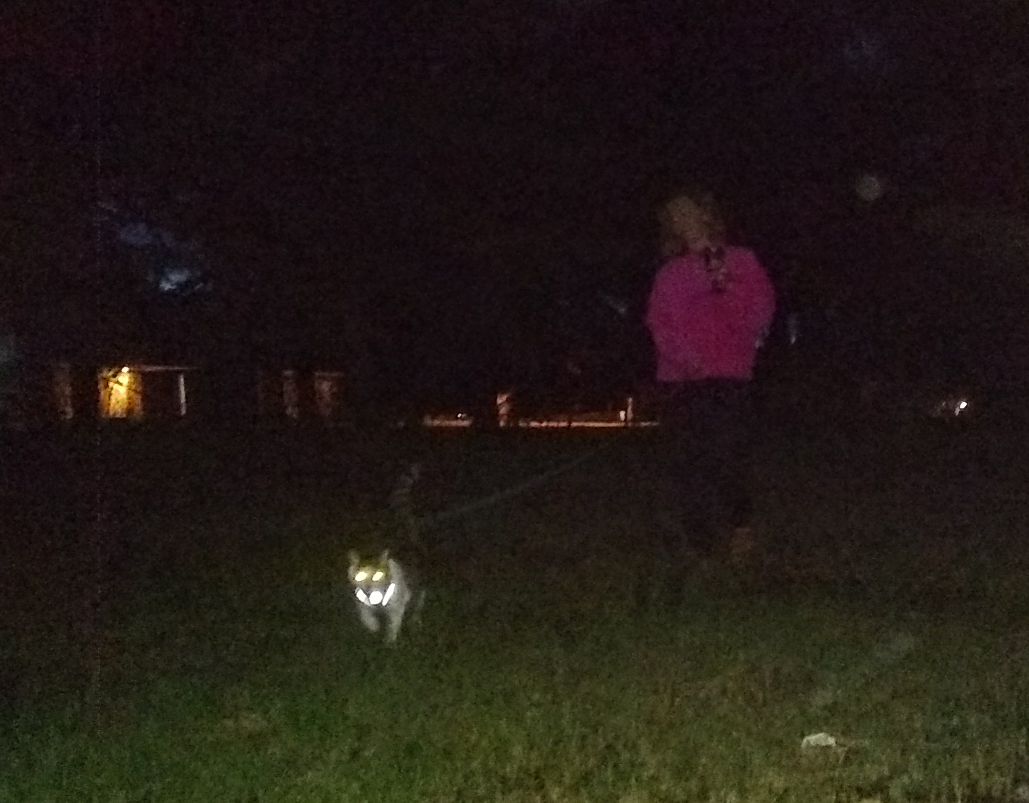 Xiao Meow Leash 4.jpg