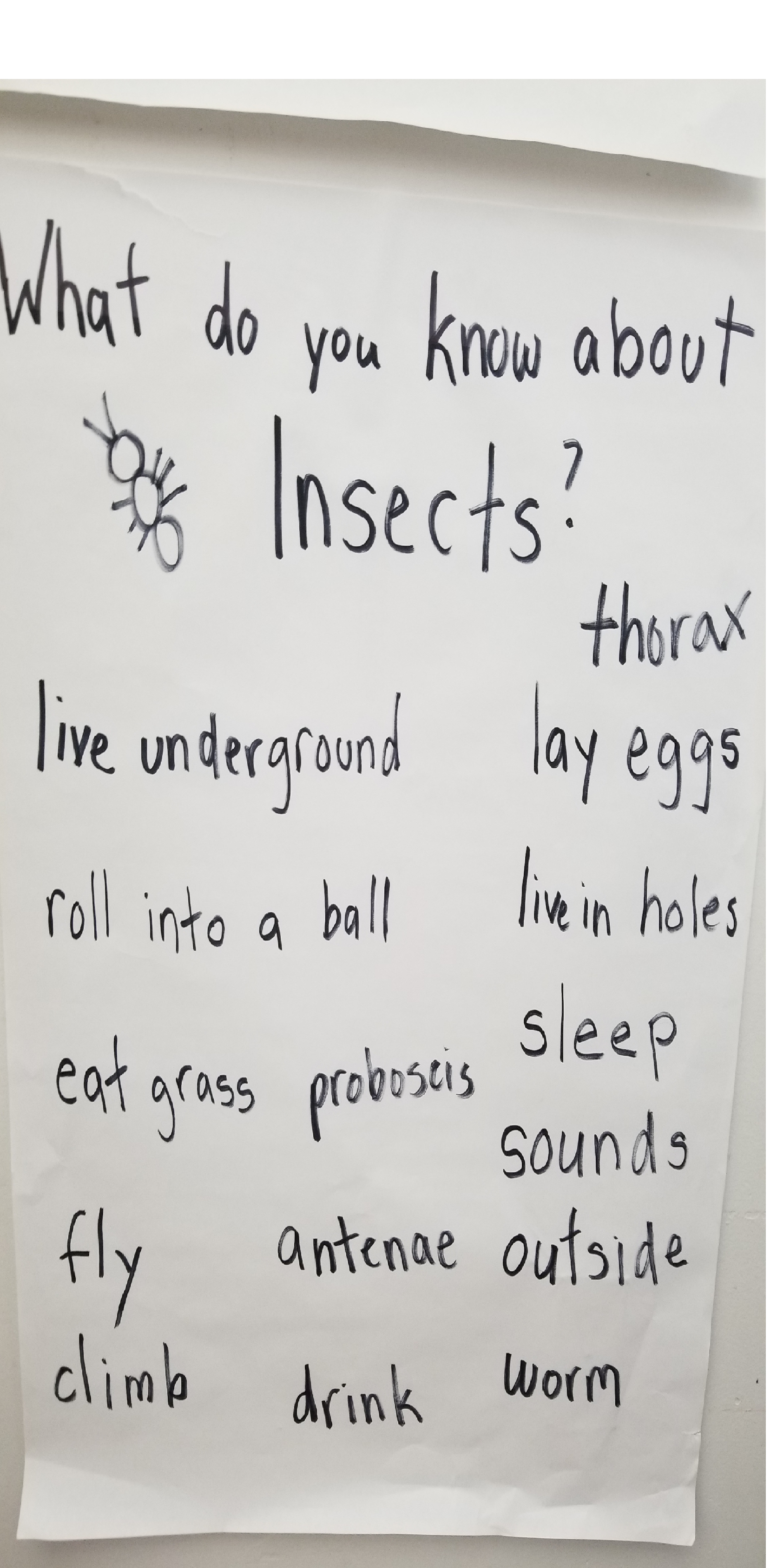 know.png