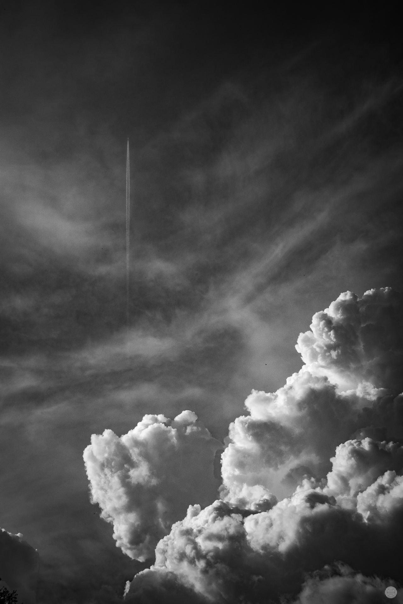 IMG_1335.jpg