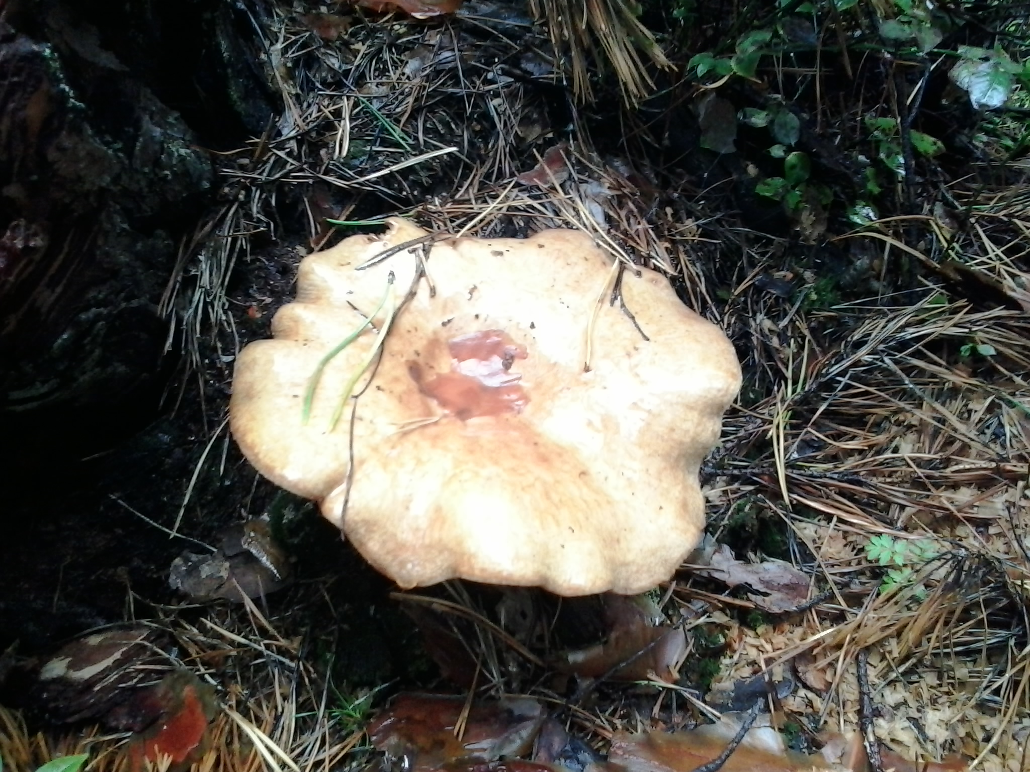 2013-09-07 10.52.10.jpg