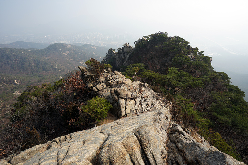 w-DSC09128.jpg