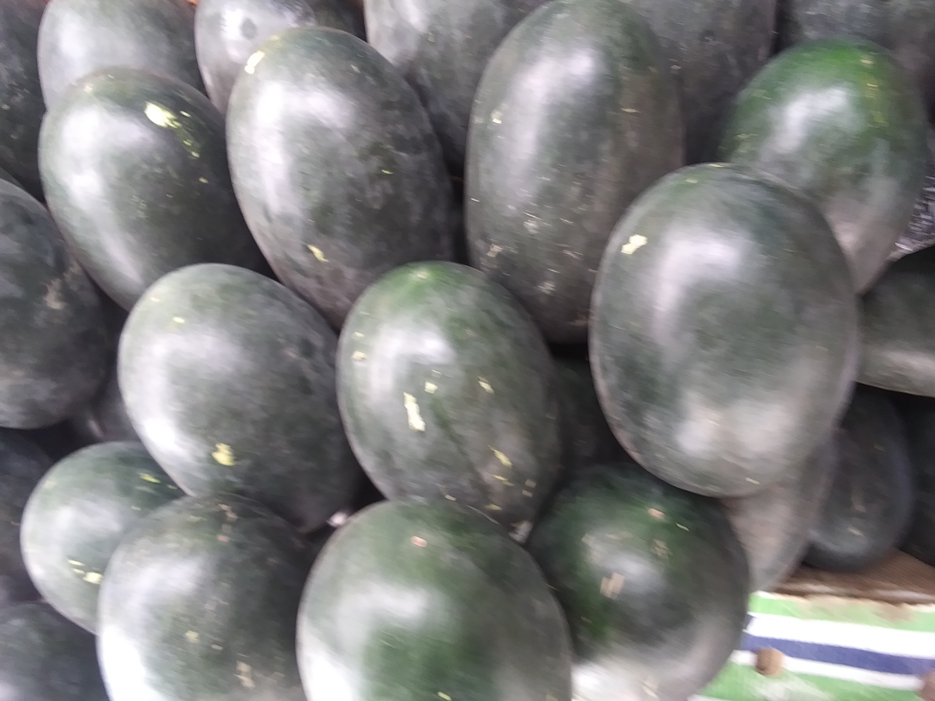 20230615_124731.jpg