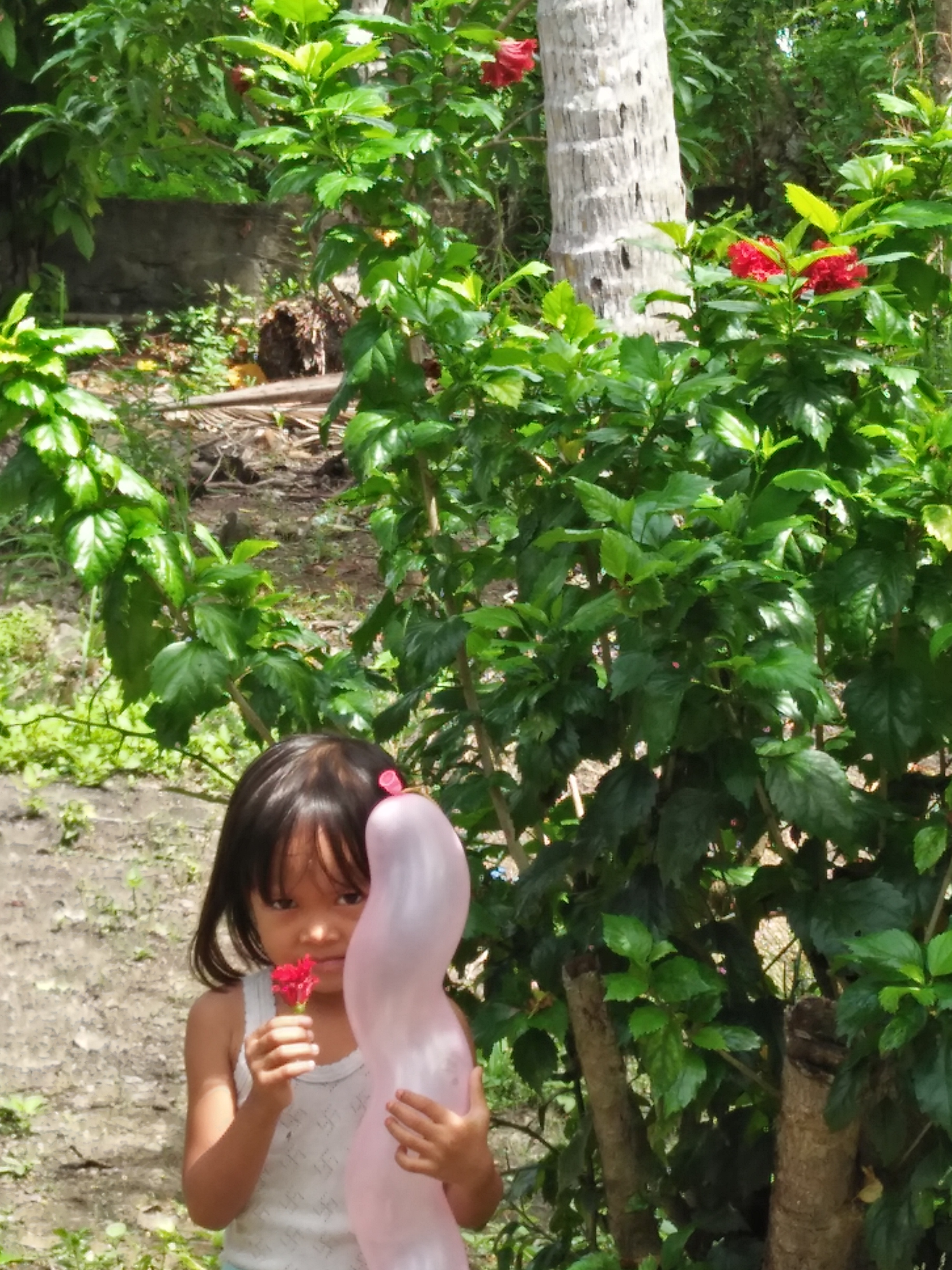 IMG20190602110239.jpg