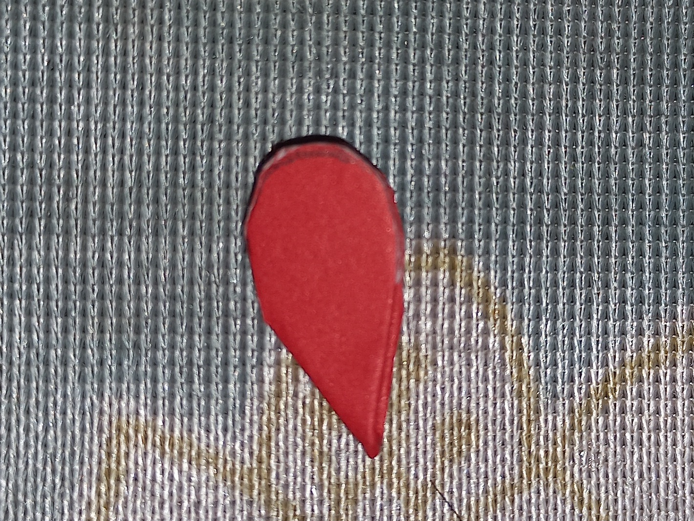 20250421_111142.jpg