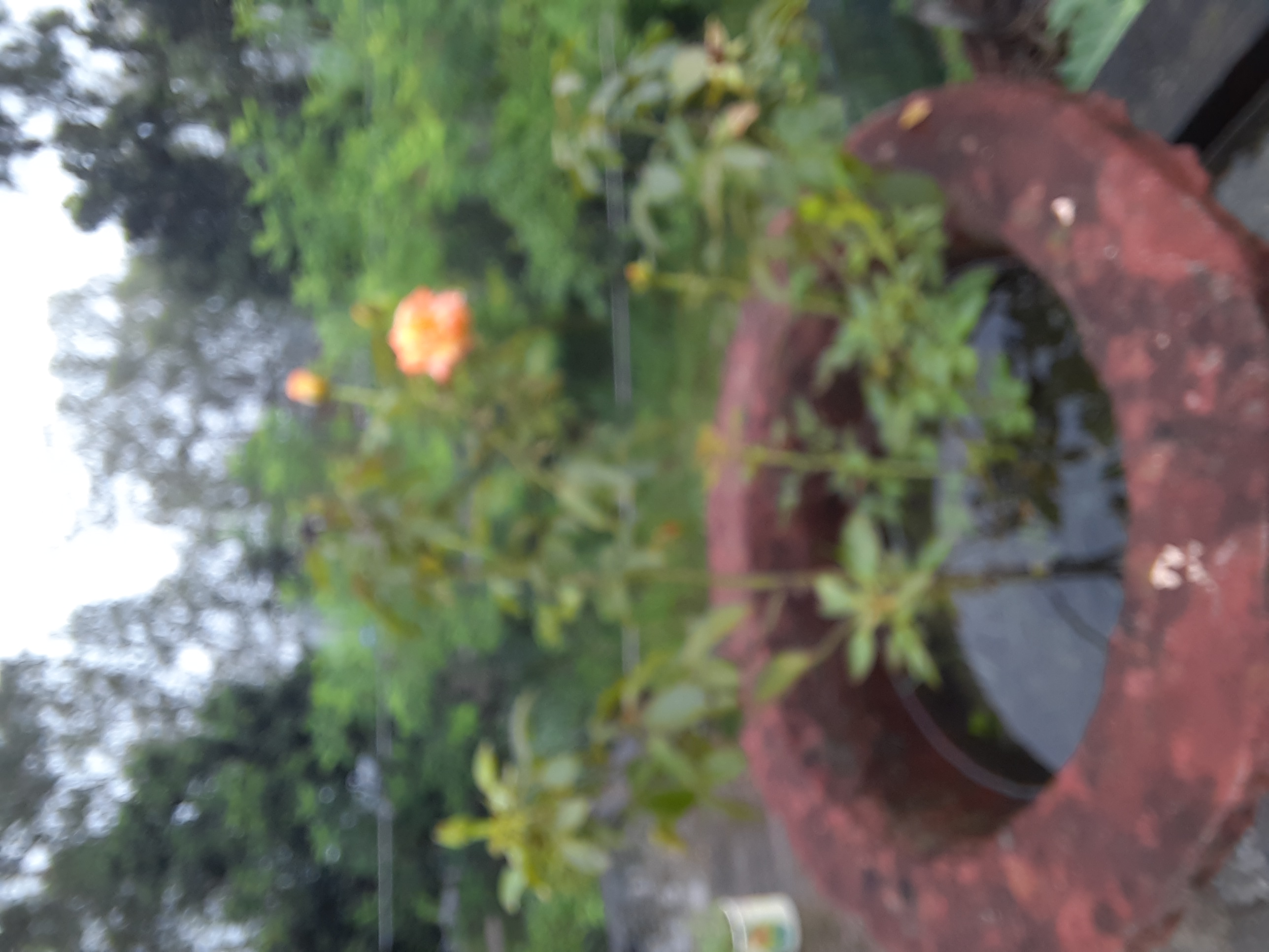 20230825_075843.jpg