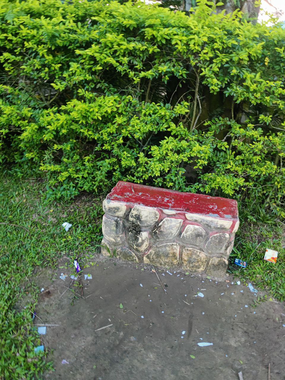 1000054370.jpg