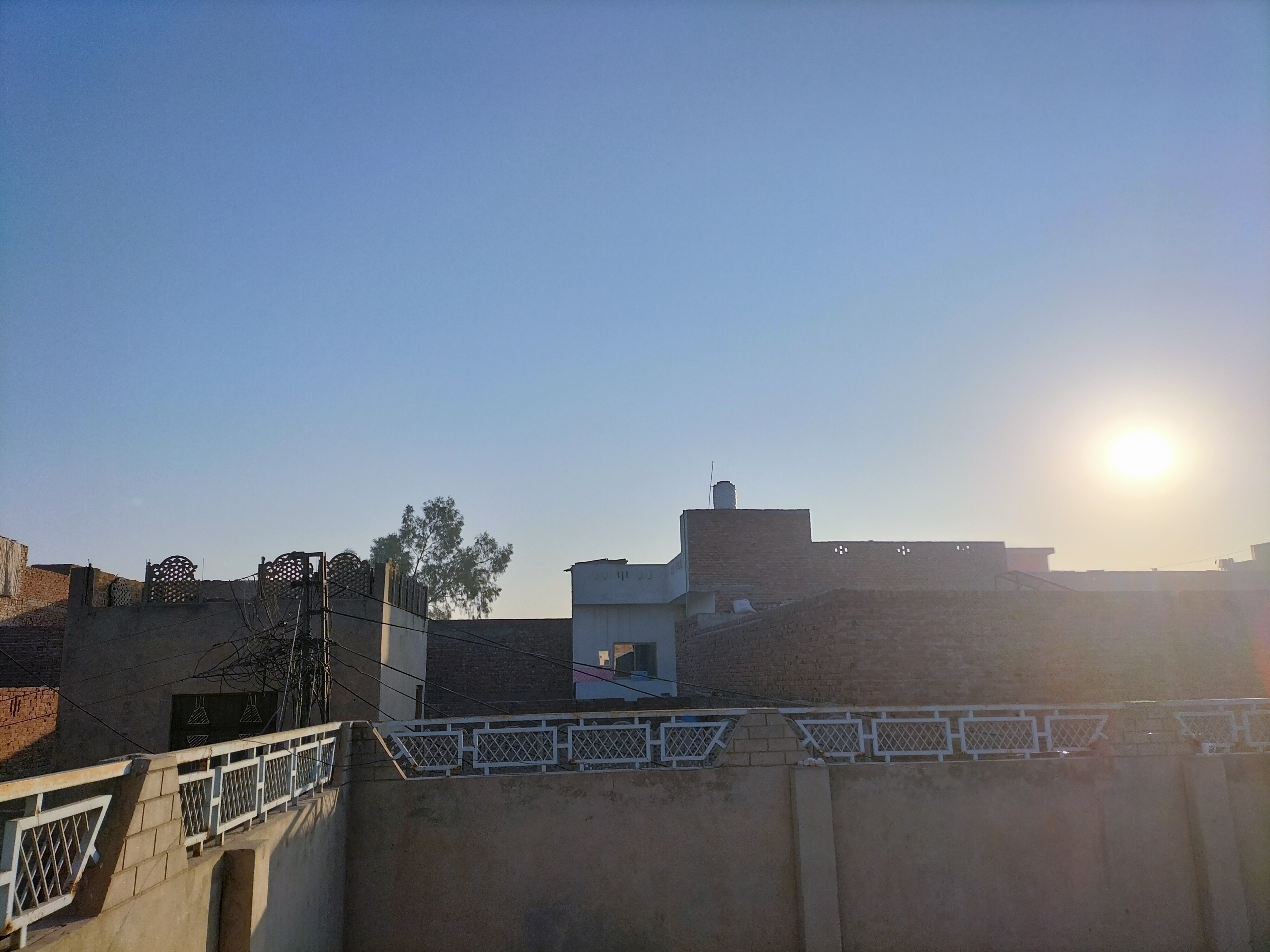 IMG20211208075716.jpg