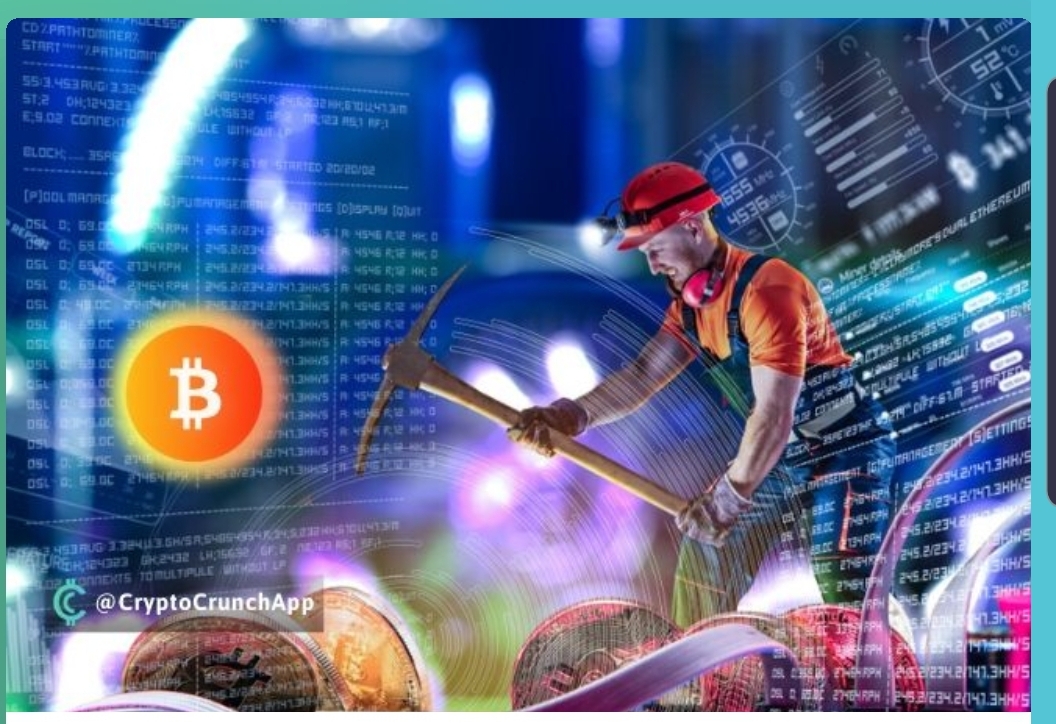 Screenshot_20200803-122829_CryptoCrunch.jpg