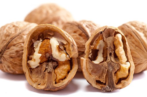 walnuts-2312506__340.jpg