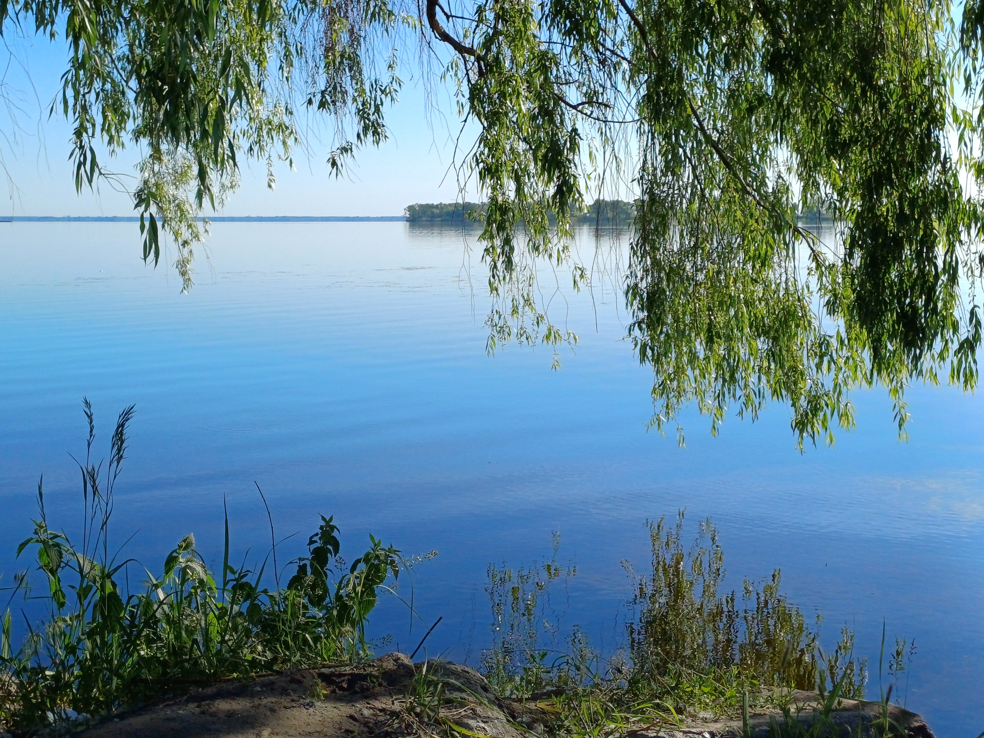 20260602_075401.jpg
