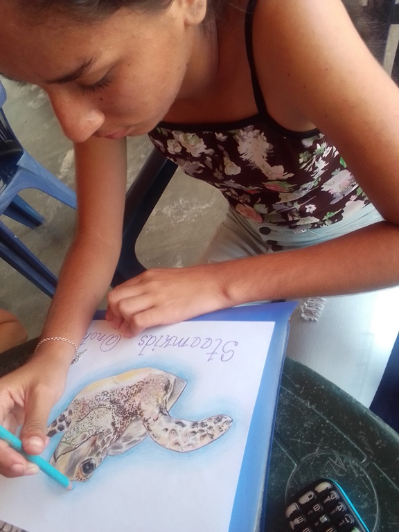 Dibuja una tortuga 11.jpg