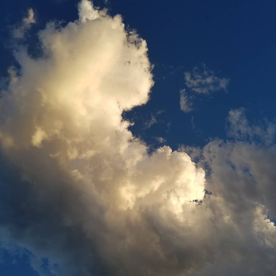 IMG_20180619_060256_470.jpg