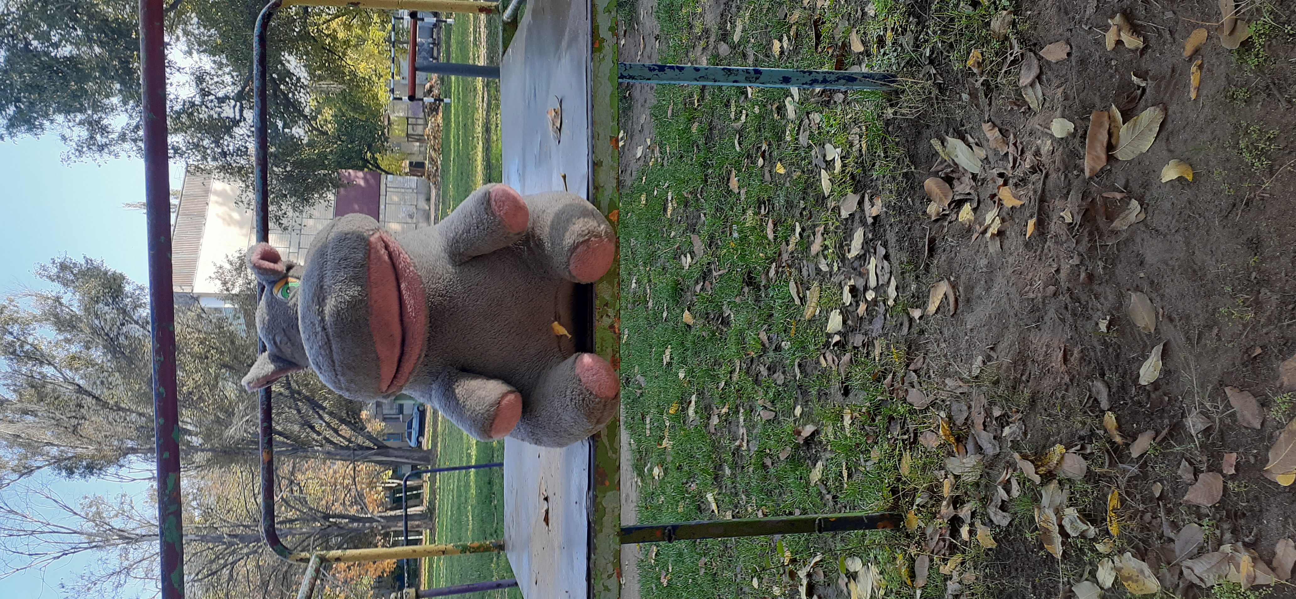 20201106_093850.jpg