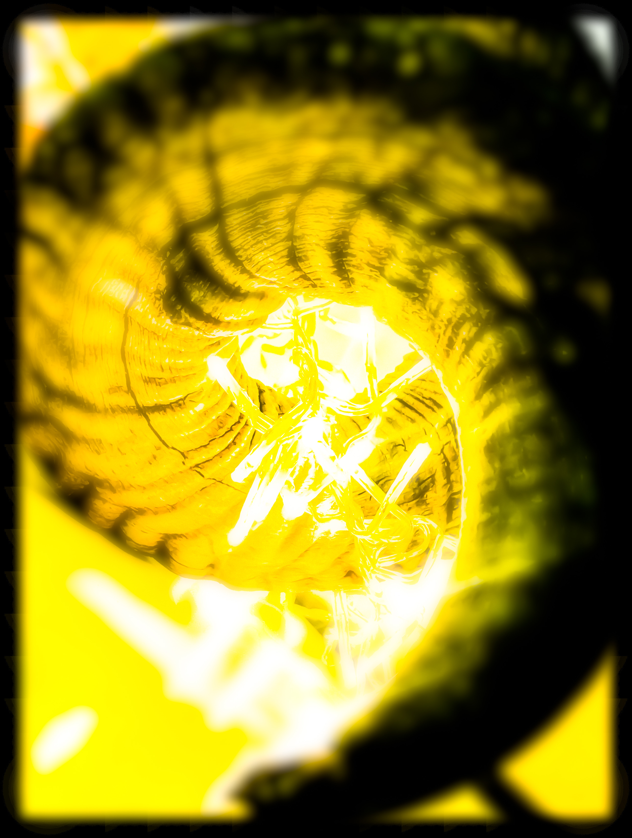 B1EFB55E-9A23-4715-973F-305FF6756F7D.jpeg