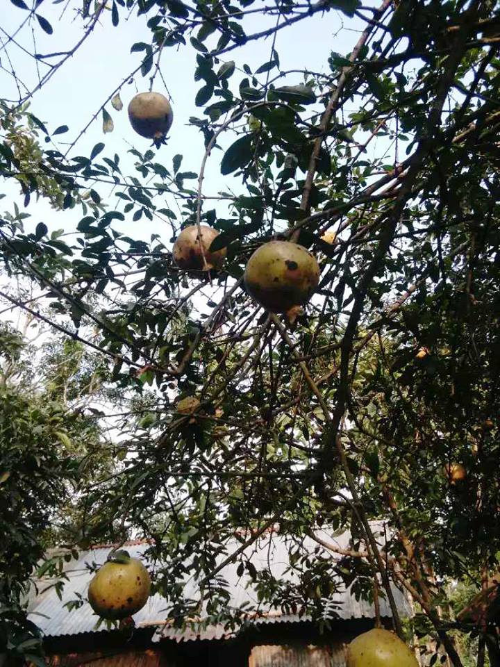 37019463_1762232760559374_6484279334143000576_n (1).jpg