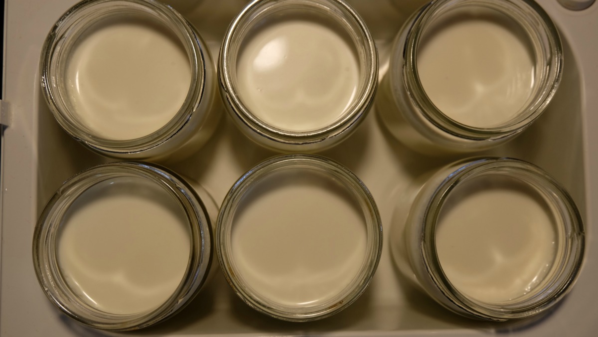 homemade-cultured-yogurt-6.jpg