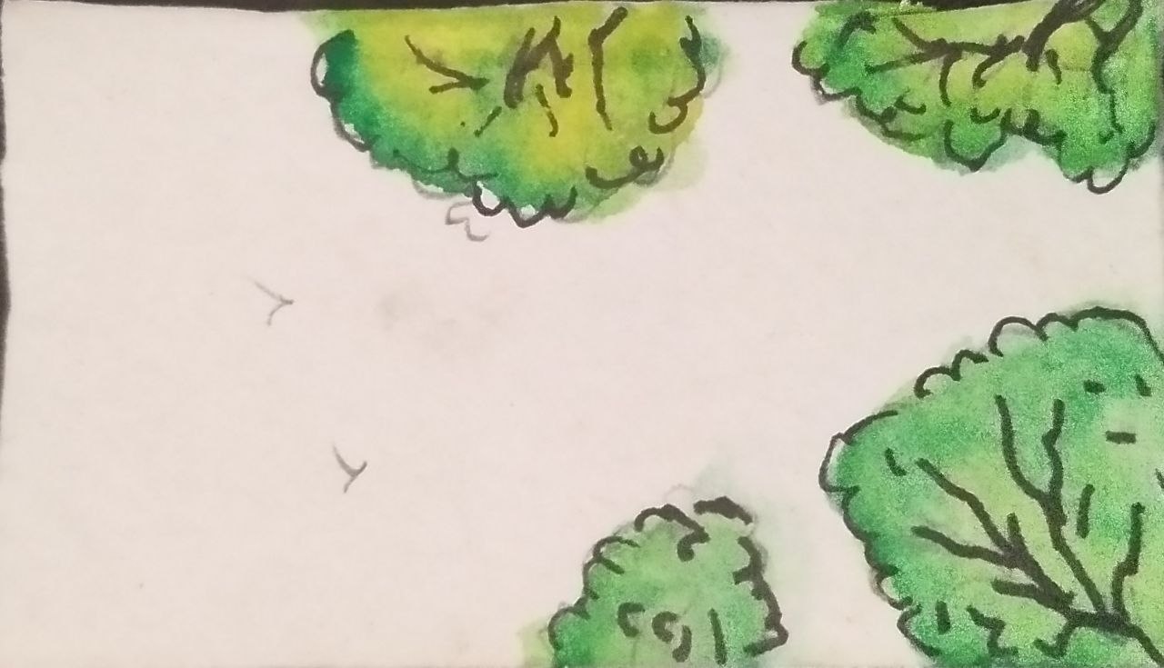 forest.jpg