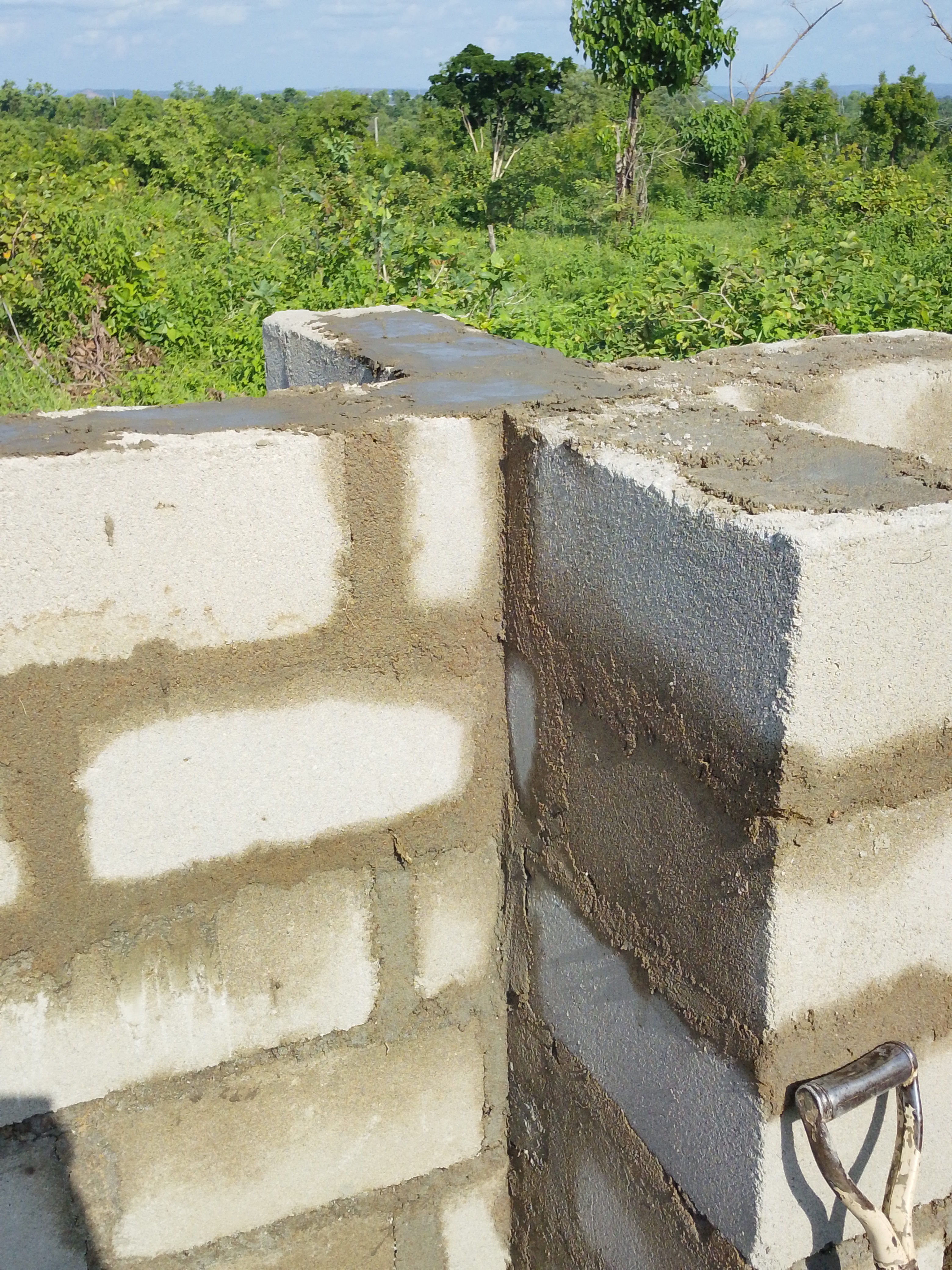 1000021524.jpg