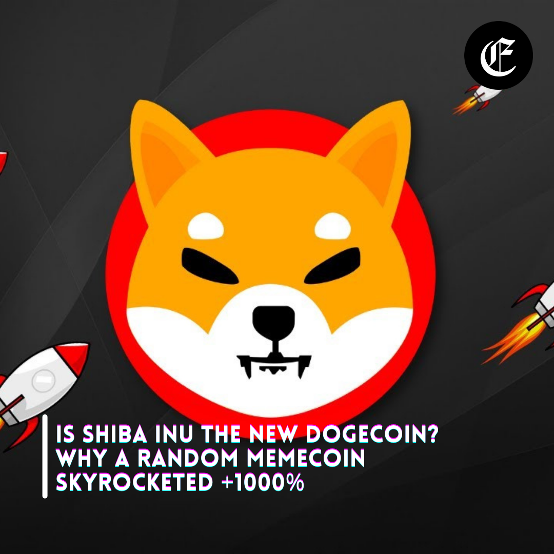 Shiba Inu.png