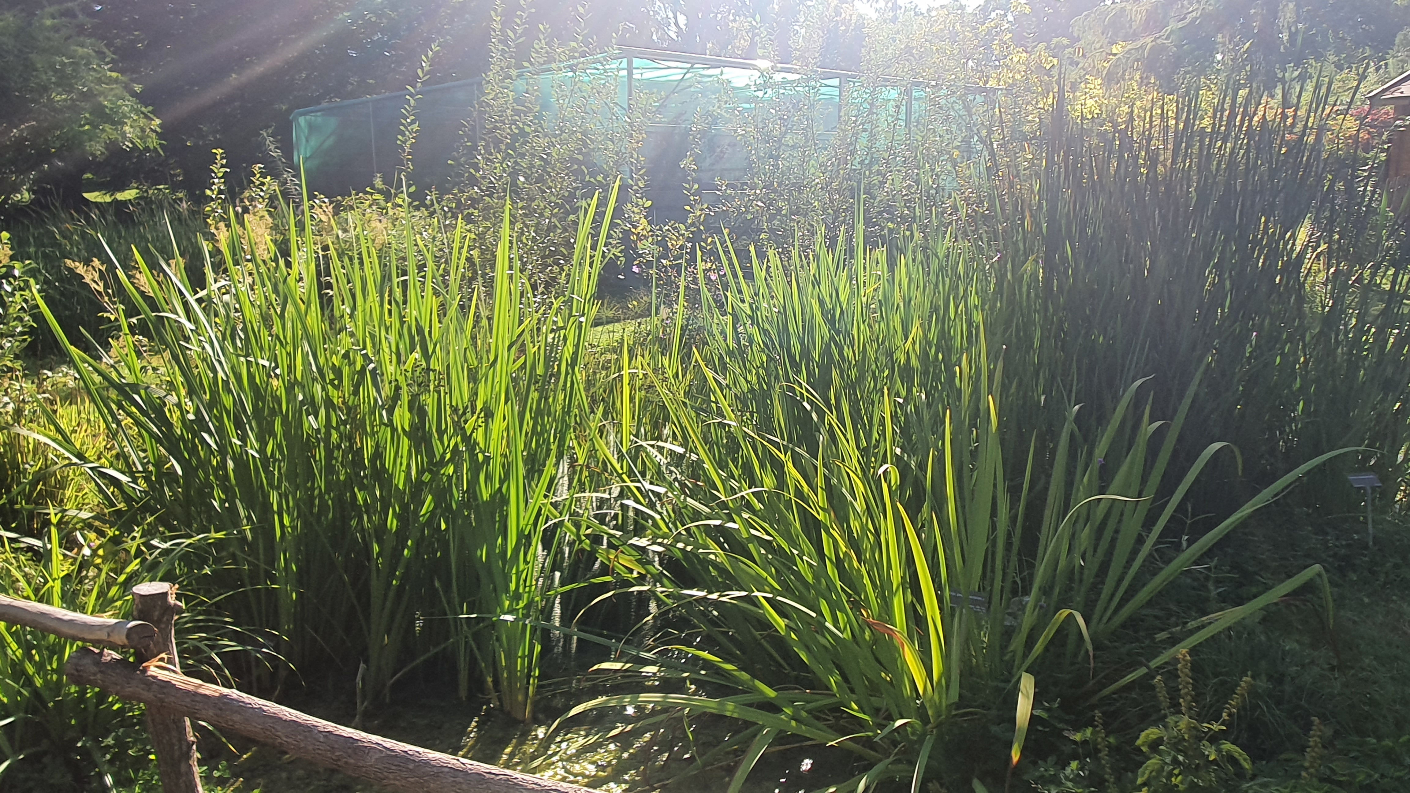 20220912_165113.jpg