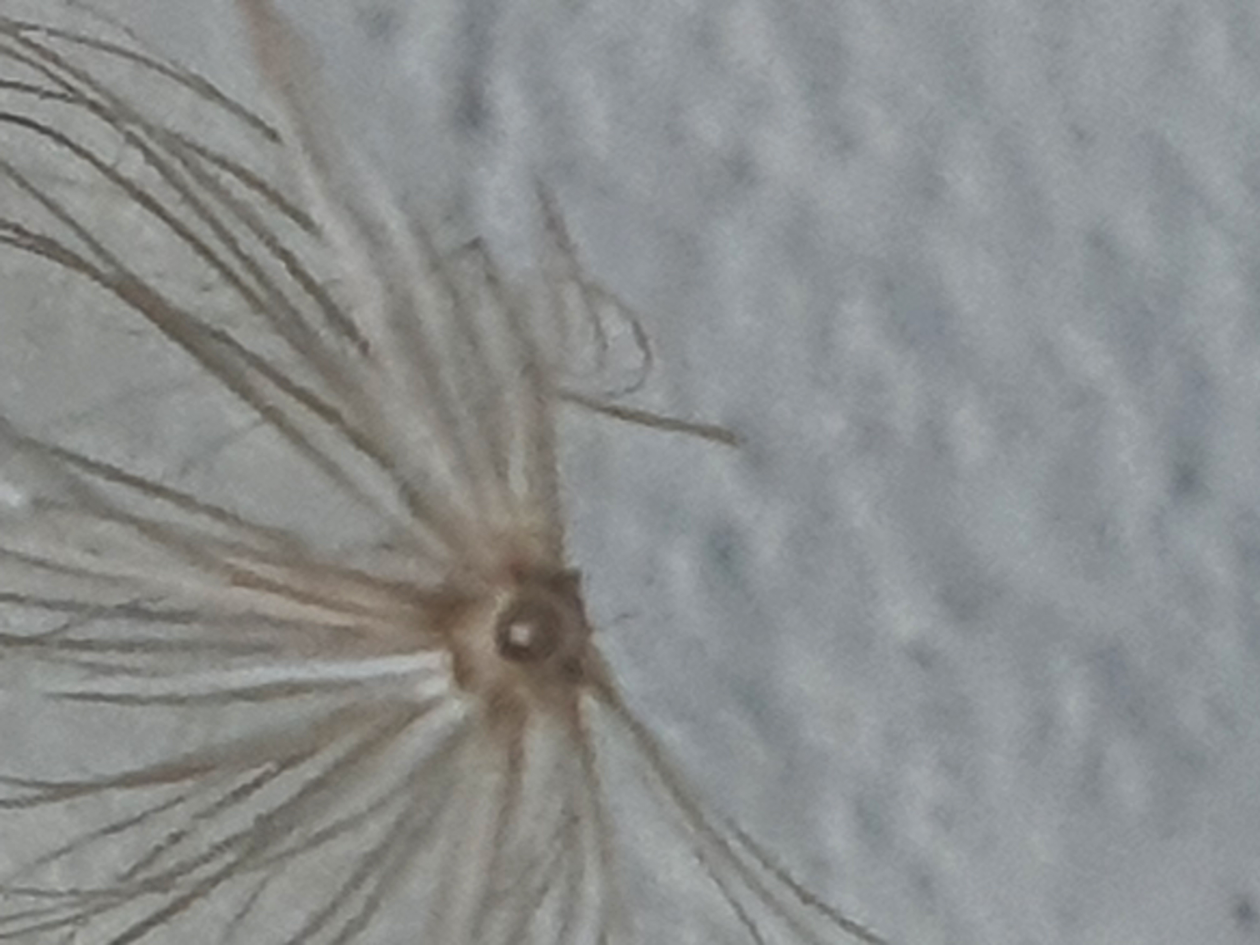 20260421_130003.jpg