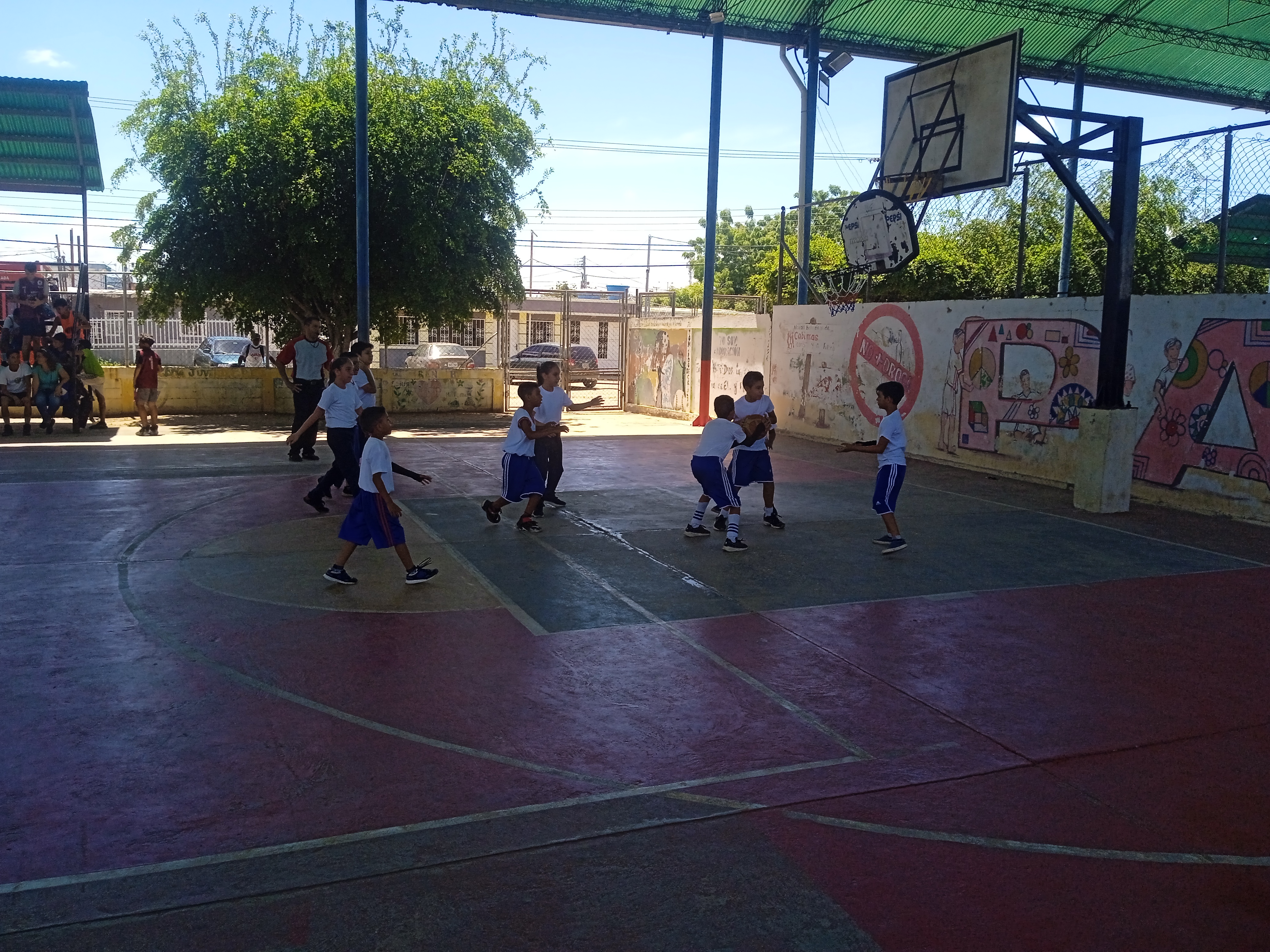 IMG_20220528_114430.jpg