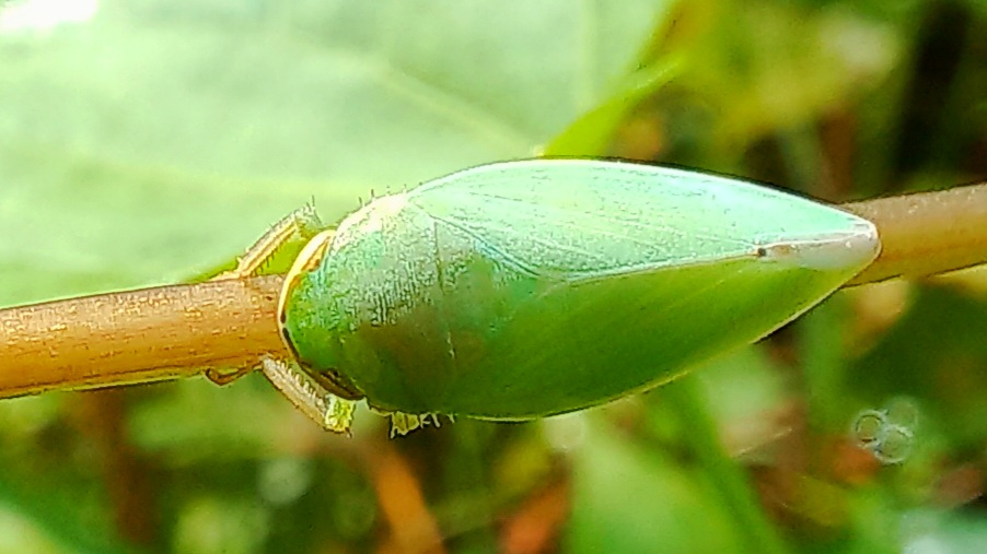 20221009_092454.jpg