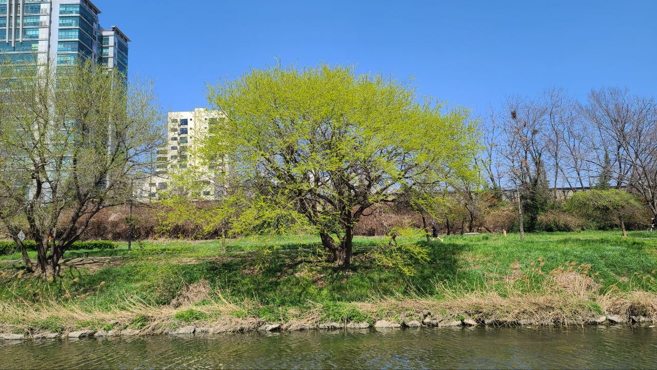 IMAGE 2026-05-13 06:14:25.jpg