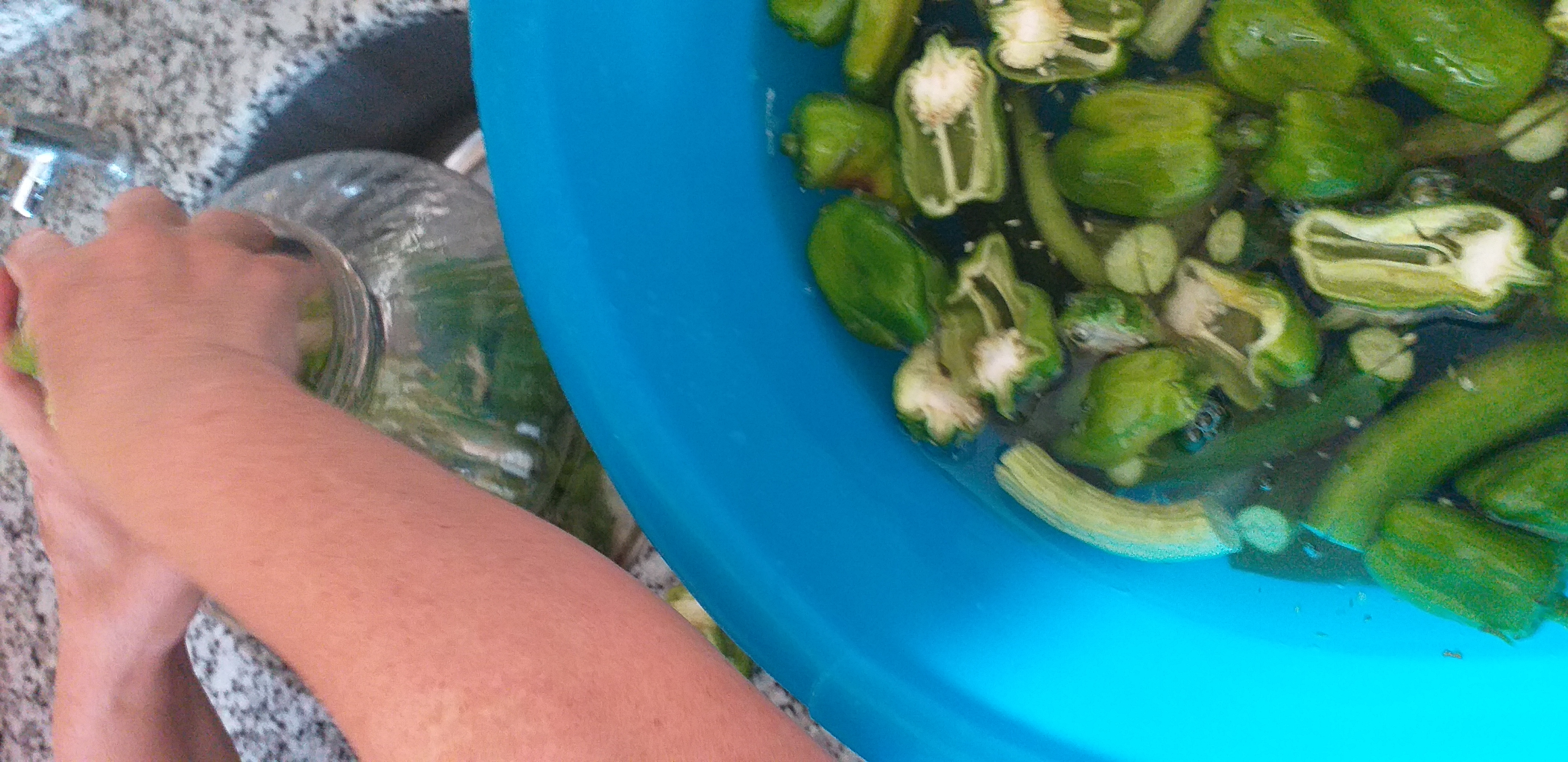 20210807_155255.jpg