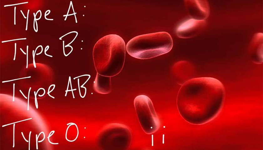 Blood is produced.jpg