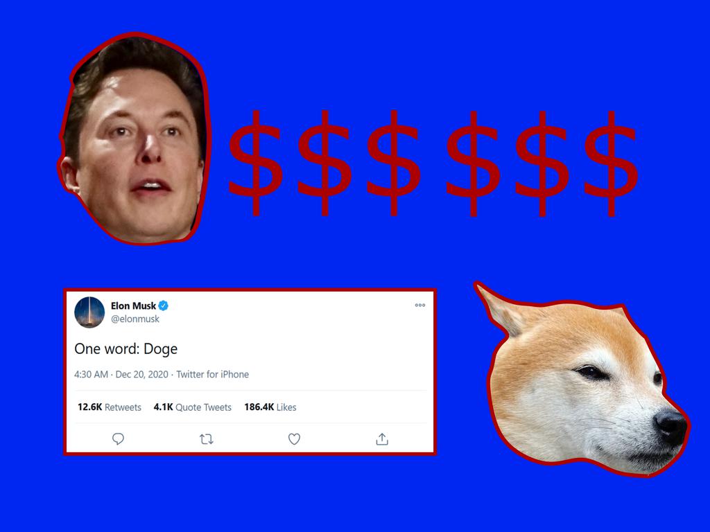doge1.jpg