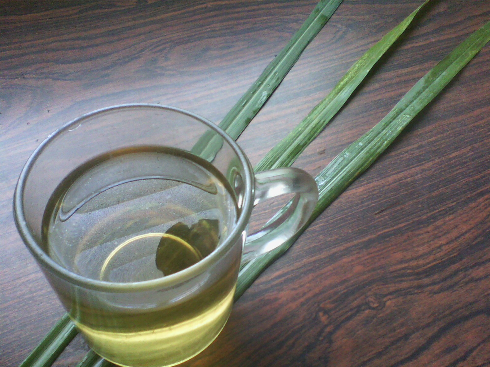 IMG00445.jpg
