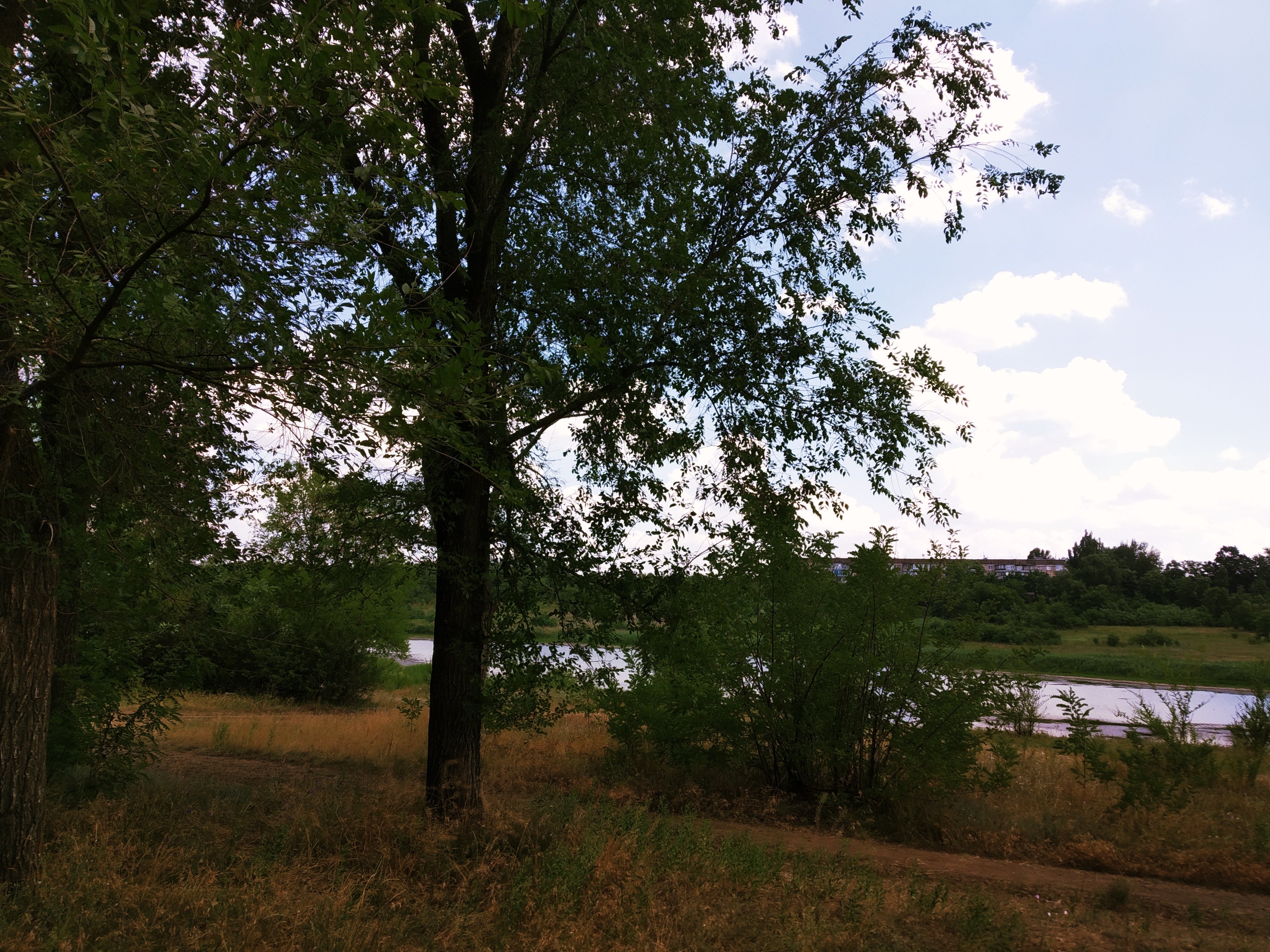 IMG_20200629_193028.jpg