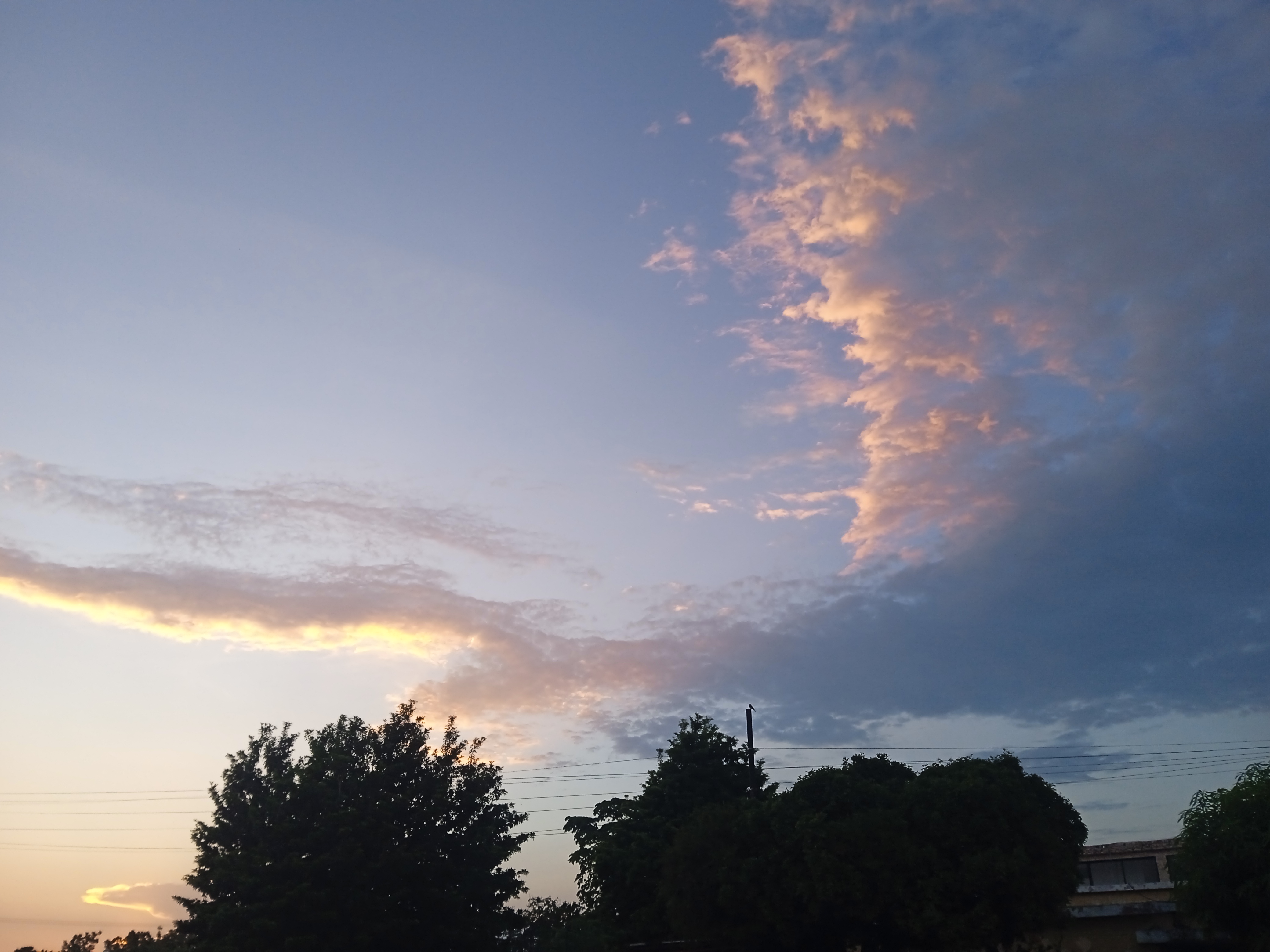 IMG_20260917_184236.jpg