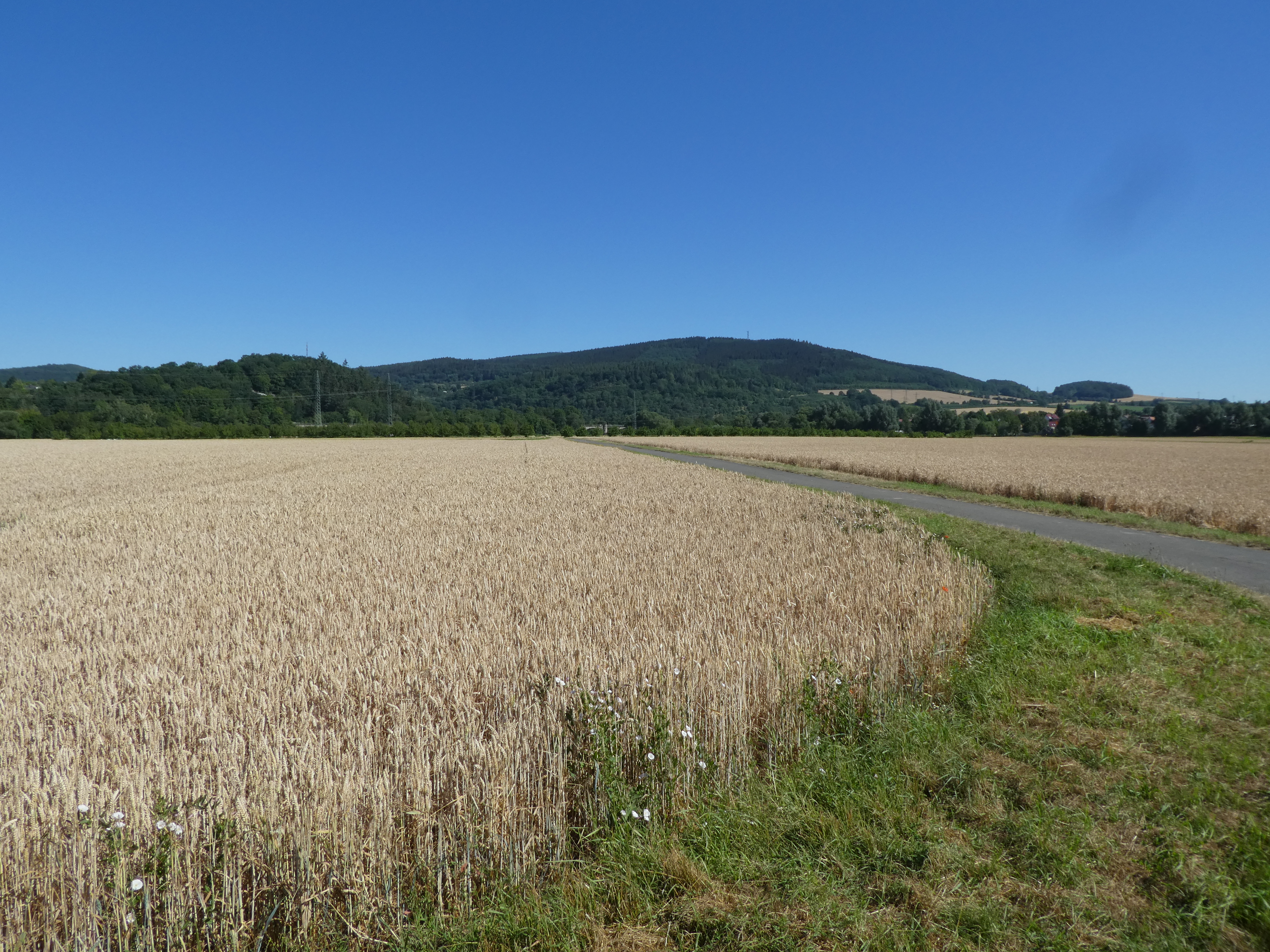 P1000209.JPG