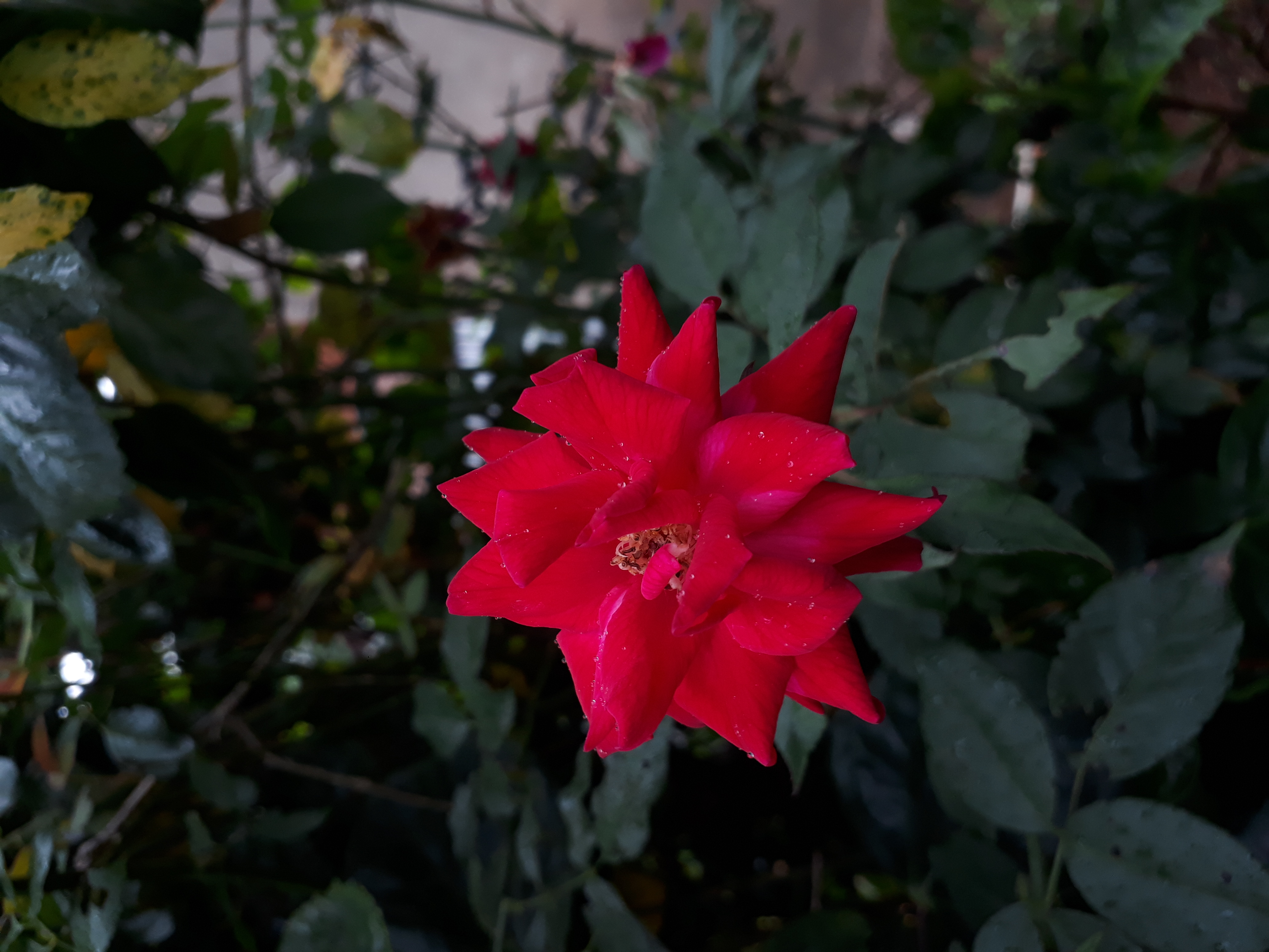 20190721_170551.jpg