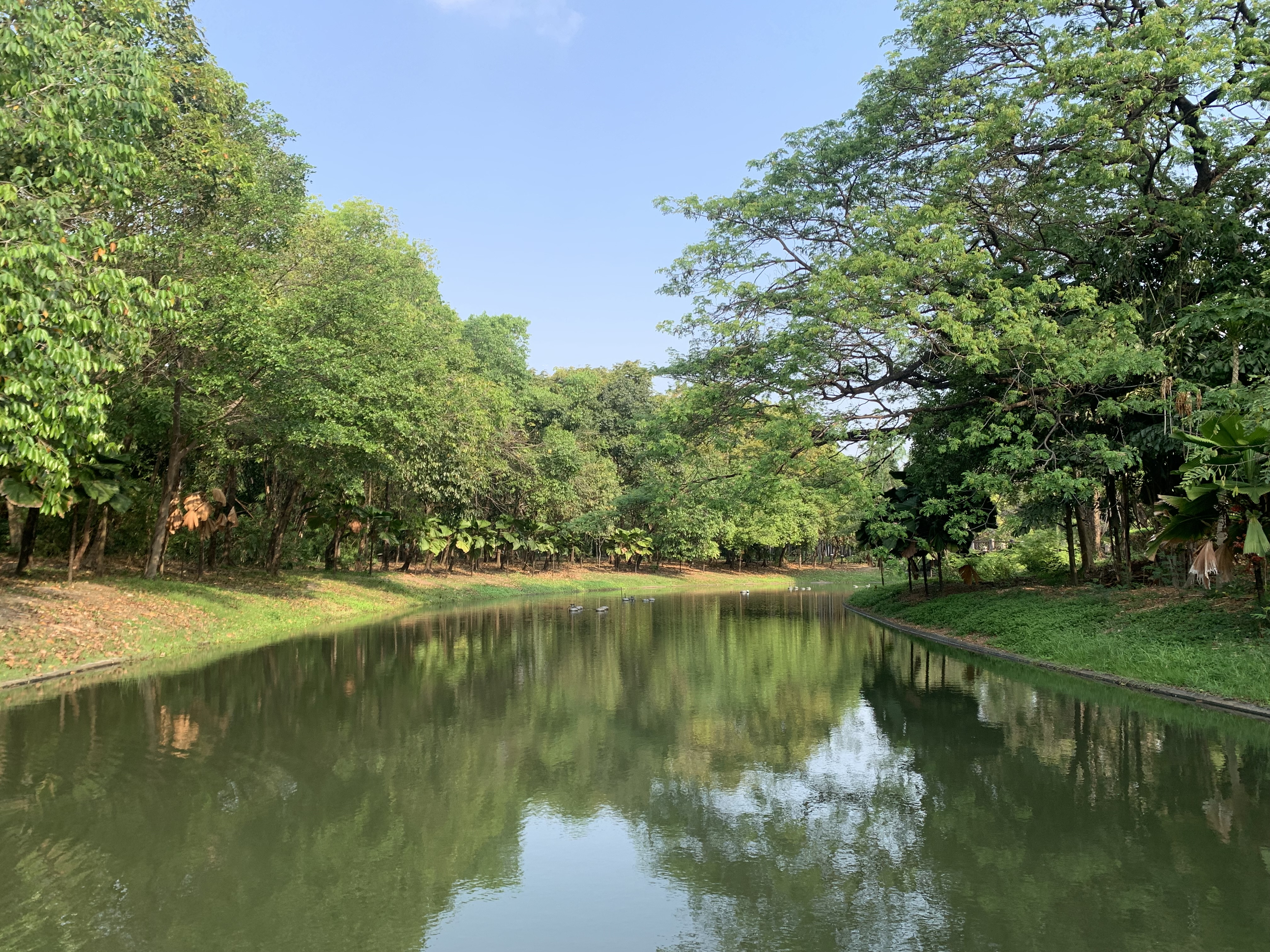 Queen Sirikit Park105.jpg