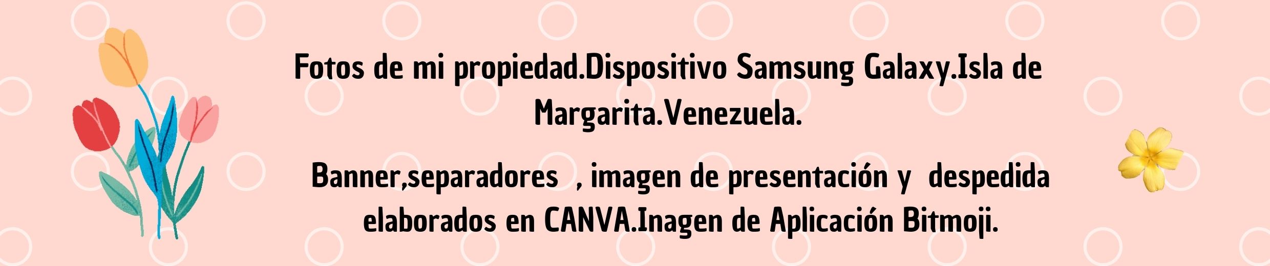 Azul Claro Naranja Ilustración Floral General Soundcloud Banner (3).jpg